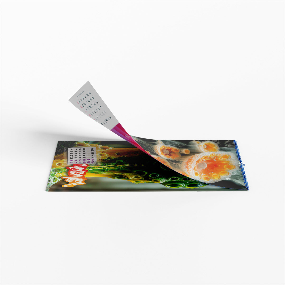 ◤◢ calendar SCHLEIMPILZE/SLIME MOULDS 2025 ➽ 02-UNREAL